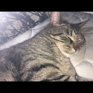 Meet your Posher, Alysha